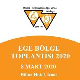 Ege Bölge Toplantısı - 2020