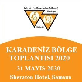 Karadeniz Bölge Toplantısı - 2020
