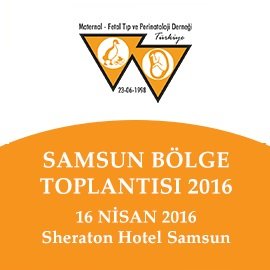 Samsun Bölge Toplantısı 2016